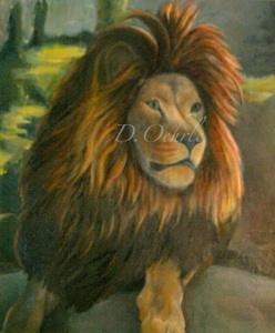 Franklin Park Zoo Lion oil on canvas 20x24 2009